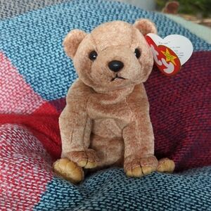 PECAN Ty Beanie Baby Brown Bear Plush NWT